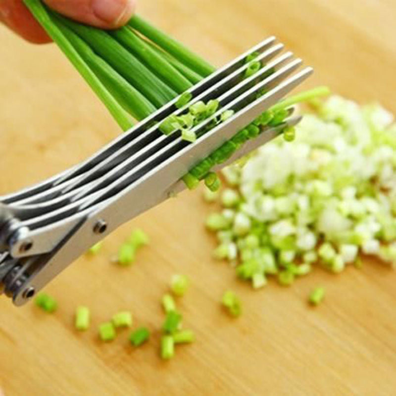 5-Blade Stainless Steel Herb & Scallion Cutter - Multifunctional Kitchen Scissors for Chive, Spice Shredding | Food-Safe Metal, Ideal for Green Onions & More